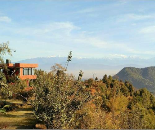 Hotel Kot Danda Agro Resort