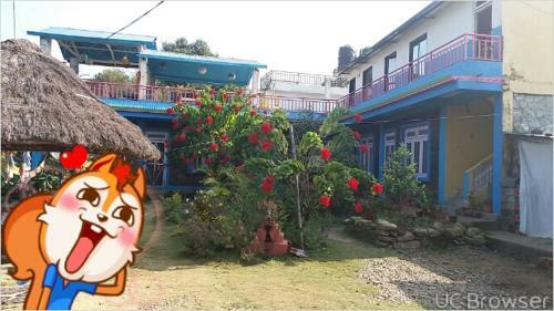 Lodge Robins Nest Hotel & Restaurant