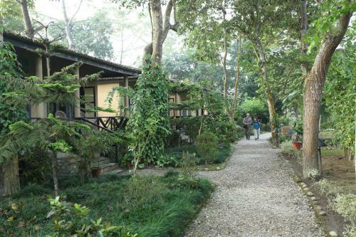 Hotel Jungle Villa Resort