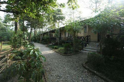 Hotel Jungle Villa Resort