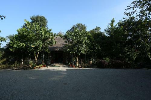 Hotel Jungle Villa Resort