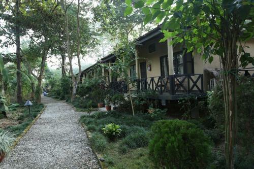 Hotel Jungle Villa Resort