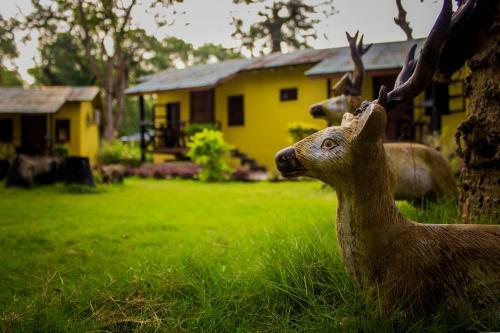 Hotel Safari Adventure Lodge