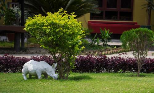 Hotel Safari Adventure Lodge