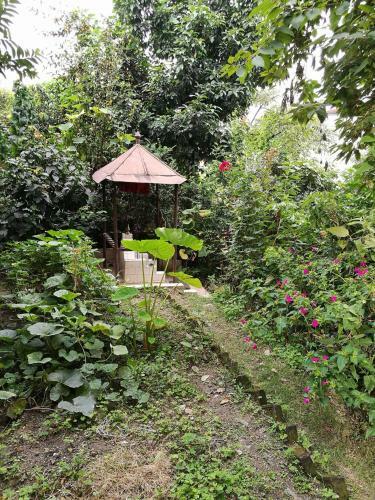 Albergue The Nepali Hive