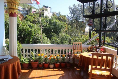 Horizon Homestay
