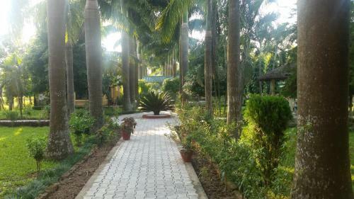 Hotel Royal Tiger Safari Resort