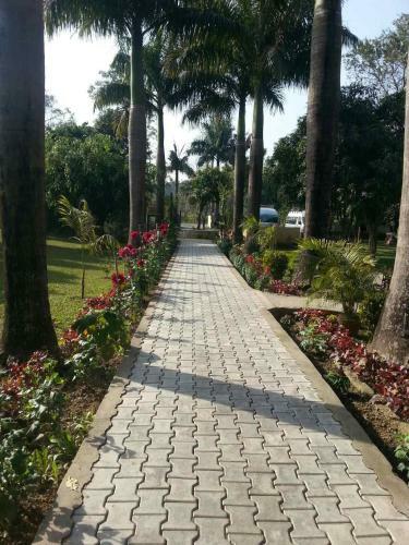 Hotel Royal Tiger Safari Resort