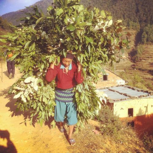 Hostal The Best Homestay Nepal