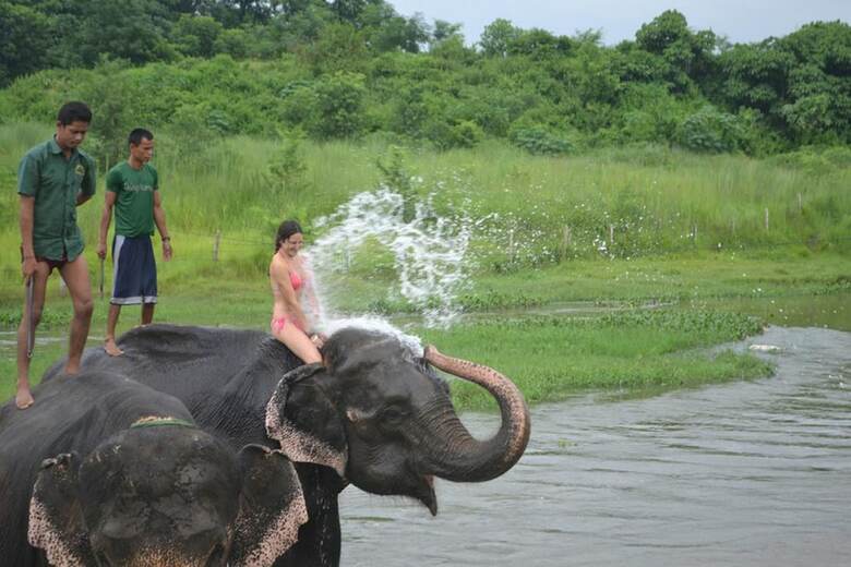 Hotel Tigerland Safari Resort