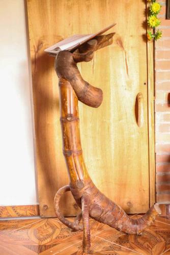 Hostal Centro Ecoturistico La Nohelia