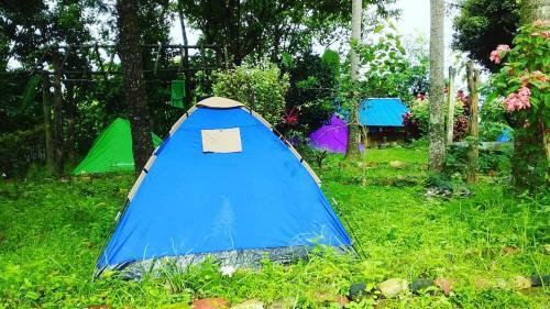 Posada Chillgarden Eco Home