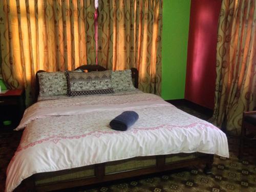 Hostal Pema Guest House