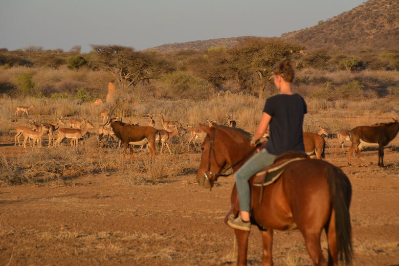 Hotel Gabus Game Ranch