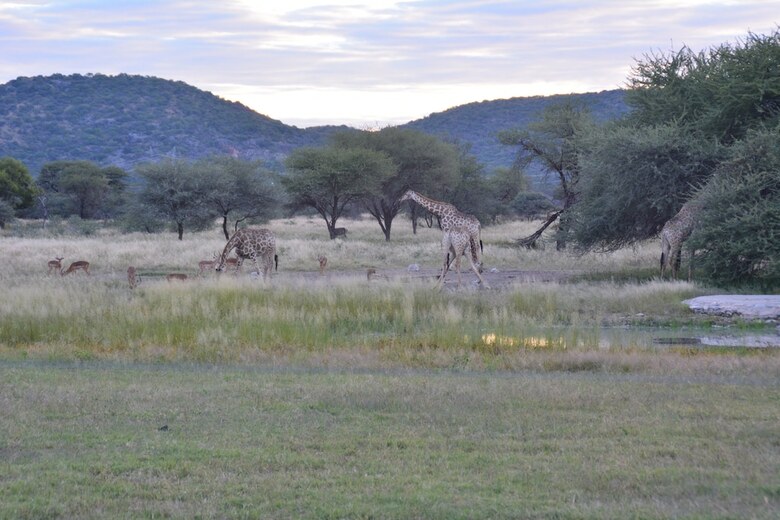 Hotel Gabus Game Ranch