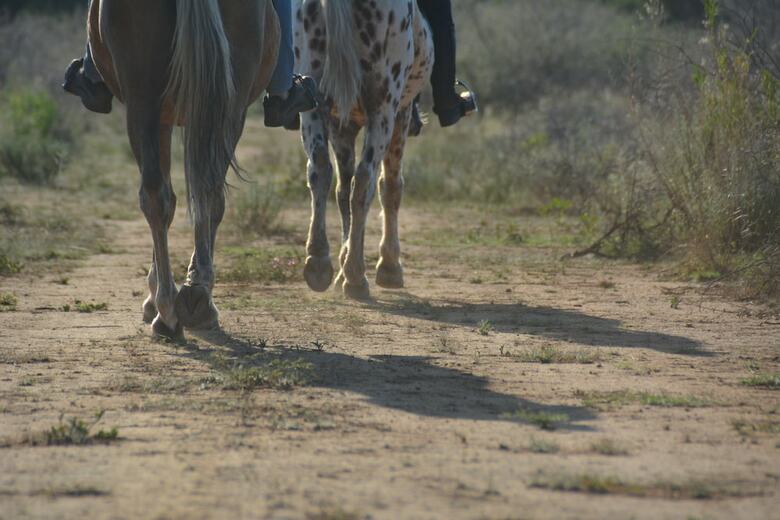 Hotel Gabus Game Ranch