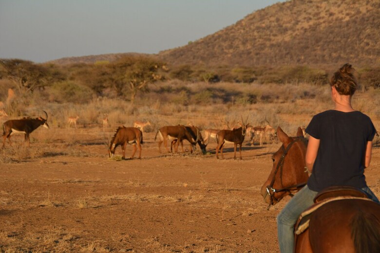 Hotel Gabus Game Ranch