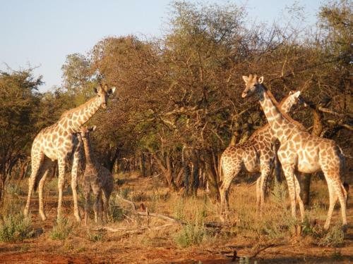Ohange Namibia Lodge