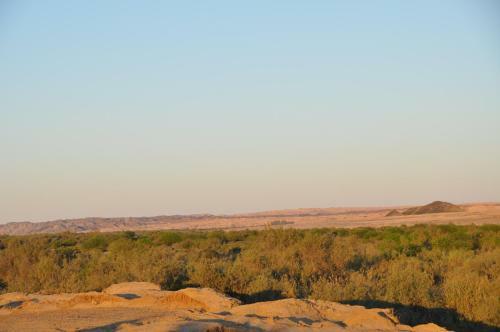 Apartamento Namib River Camp # 4