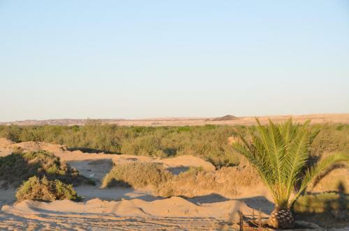Apartamento Namib River Camp #3