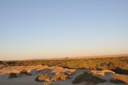 Apartamento Namib River Camp #3