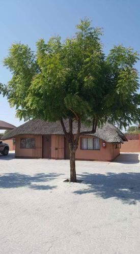 Hostal Pandus Bed And Breakfast
