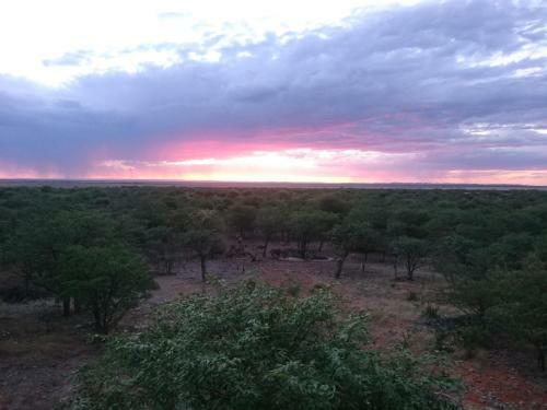 Uukwaluudhi Safari Lodge