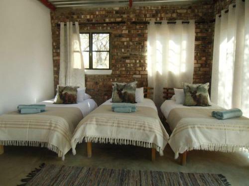 Kaoko Bush Lodge