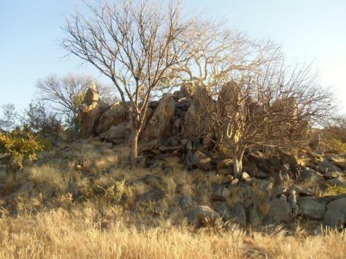 Kaoko Bush Lodge