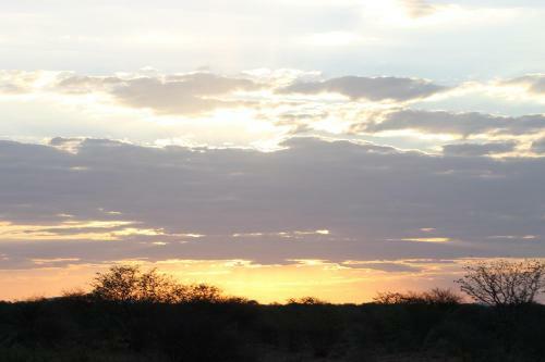 Kaoko Bush Lodge