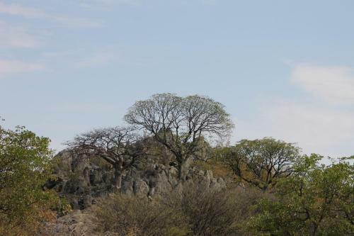 Kaoko Bush Lodge
