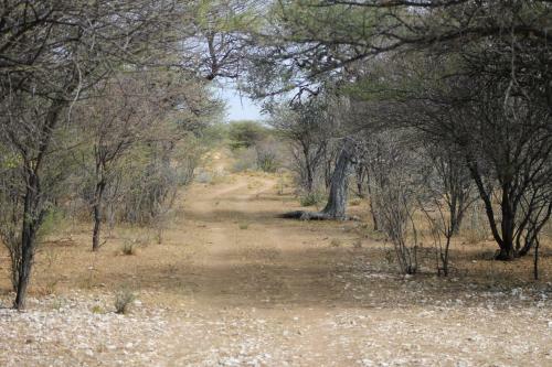 Kaoko Bush Lodge