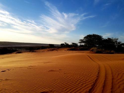 Jansen Kalahari Guest Farm