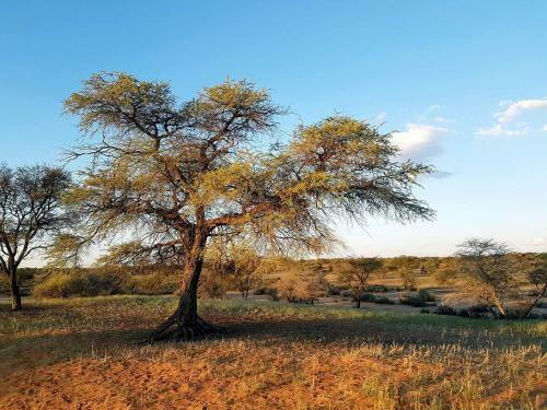 Jansen Kalahari Guest Farm