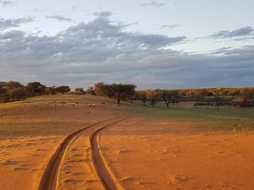 Jansen Kalahari Guest Farm
