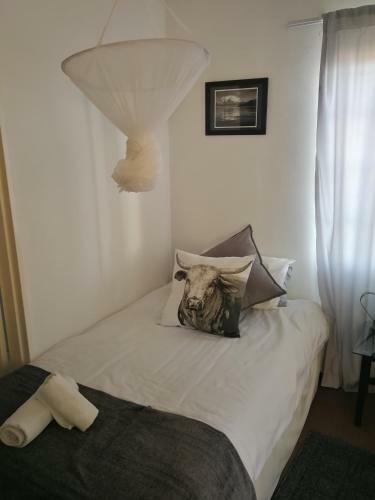 Hostal Kamelruhe Guest House & Camping