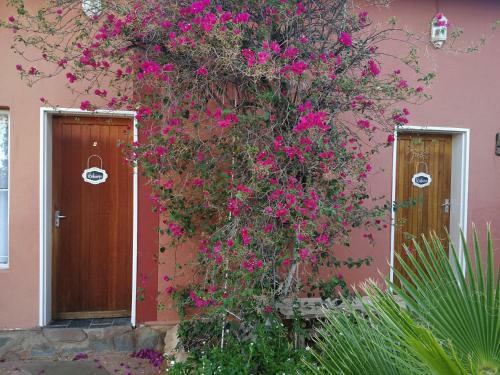 Hostal Kamelruhe Guest House & Camping