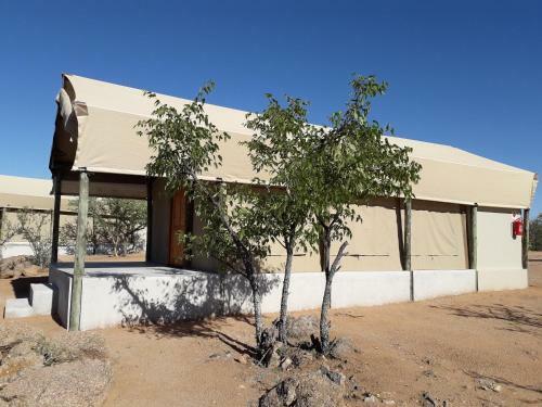 Blue Bushman Luxury Tented Lodge & Camping