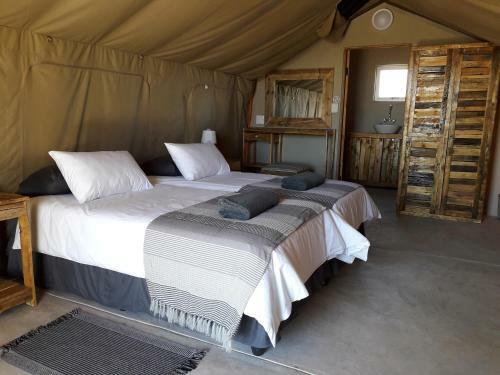 Blue Bushman Luxury Tented Lodge & Camping