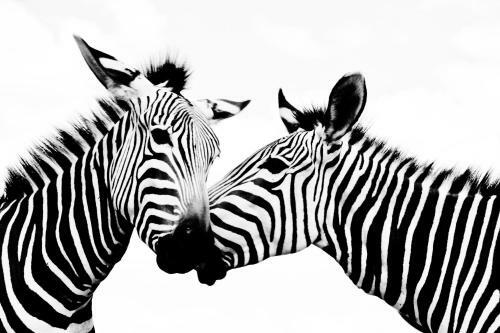 We Kebi Safari Lodge
