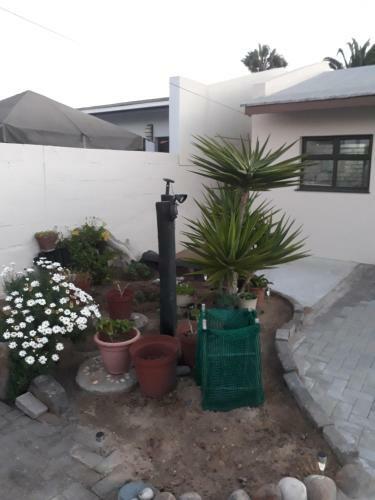 Bed & Breakfast Sunflower Self-catering