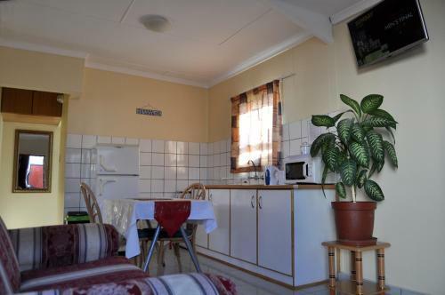 Hostal Timo's Guesthouse Accommodation
