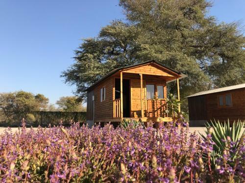 Bed & Breakfast Kololo Guesthouse