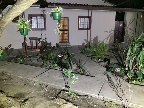 Bed & Breakfast Kololo Guesthouse