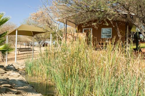 Apartamento Ripley's Camp