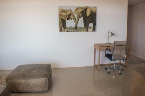Apartamento Freedom Plaza 12