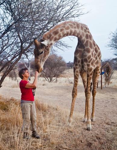 Windhoek Self-catering Game Camp