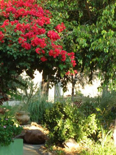 Agroturismo Corona Guest Farm