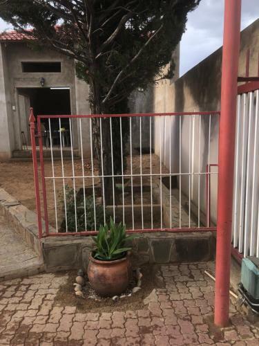 Hostal Tjiueza Guesthouse