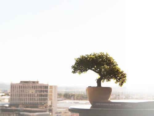 Burg's View Boutique Hotel